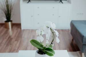 Wohnen im Herzen von Rüttenscheid – Lichtdurchflutete 3-Zimmer-Wohnung mit Wohlfühlcharakter – Alfredstraße 9-11, 45130 Rüttenscheid, Essen – Vorschaubild 8
