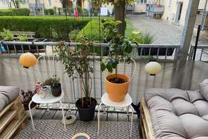 Provisionsfrei, Wü-Frauenland, 3-Zimmer-Wohnung mit Balkon – Die vollständige Adresse der Immobilie erhältst du vom Anbieter., 97074 Frauenland, Würzburg – Vorschaubild 11