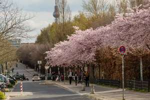 Property thumbnail 28