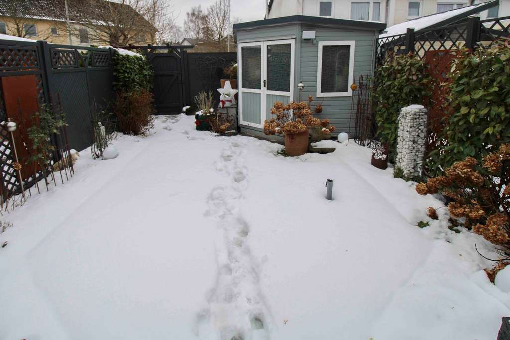 Immobilie in Kronshagen - Hochwertig ausgestattetes RMH in Kronshagen - Bild 2