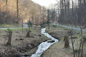 Einladendes Einfamilienhaus mit viel Charme, in naturnaher Ortsrandlage von Nassau an der Lahn – Rhein-Lahn-Kreis – Vorschaubild 28