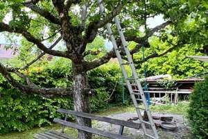 Einfamilienhaus in ruhiger und sonniger Lage mit schönem Garten! – Die vollständige Adresse der Immobilie erhältst du vom Anbieter., 78056 Weigheim, Villingen-Schwenningen – Vorschaubild 6