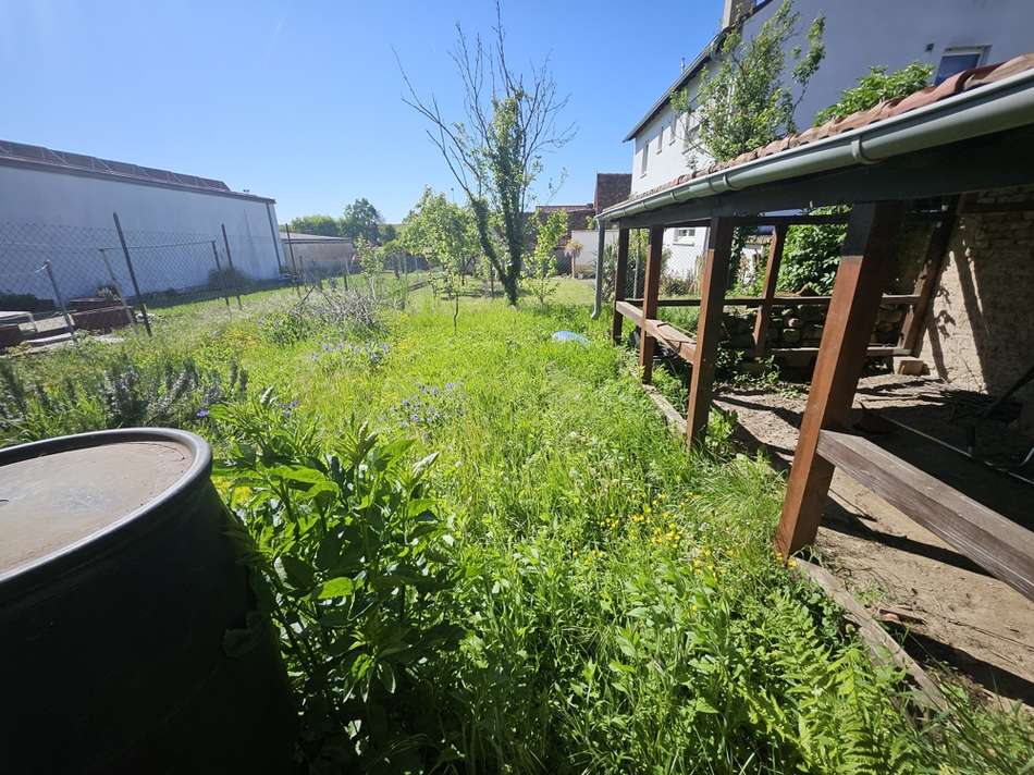 Garten 2