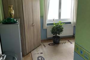 Vollunterkell. Bungalow, nutzb. Speicher u. Carport in Herbolzheim-Broggingen, viele Möglichkeiten – Die vollständige Adresse der Immobilie erhältst du vom Anbieter., 79336 Herbolzheim – Vorschaubild 7