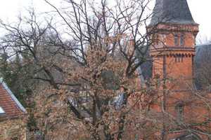 Sonnige 3-Raum-DG-Wohnung mit Balkon in Magdeburg-Sudenburg sucht neue Mieter – Klausenerstraße 8, 39112 Magdeburg – Vorschaubild 22