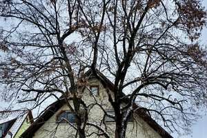 Wohnliegenschaft mit strukturellem Entwicklungspotenzial – Die vollständige Adresse der Immobilie erhältst du vom Anbieter., 90584 Allersberg – Vorschaubild 61