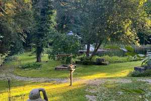 Gartentraum für GROß und KLEIN

Exklusives Anwesen im Nürnberger Land – Nürnberger Land (Kreis) – Vorschaubild 1