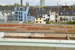 WG-geeignete vollmöblierte 3 1/2 Zimmer Wohnung im Ehrenfelder Veedel