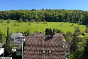 KFW 55 Maisonettewohnung zwischen Lörrach & Schweizer Grenze I Einbauküche I sofort Verfügbar – Die vollständige Adresse der Immobilie erhältst du vom Anbieter., 79504 Inzlingen – Vorschaubild 21