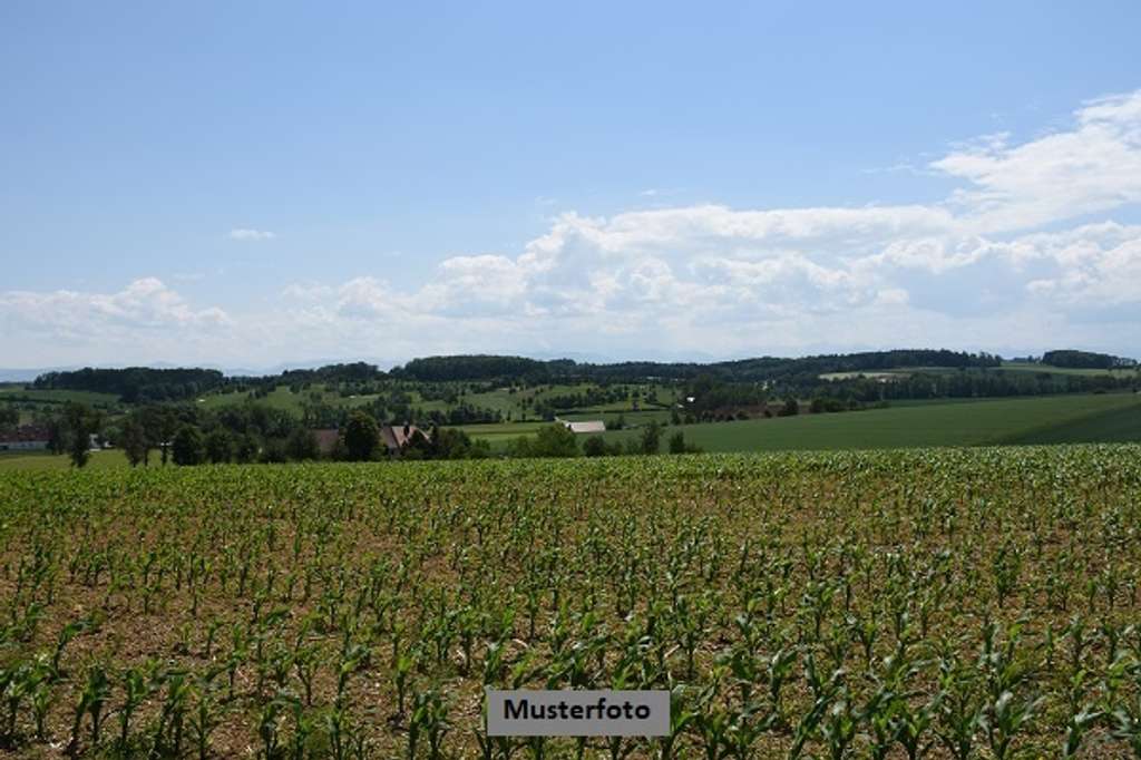 Unbebautes Grundstück/landwirtschaftliche Fläche