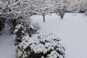 Property thumbnail 30