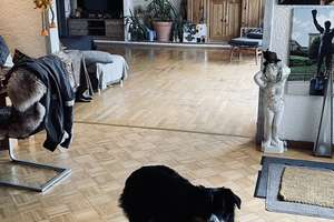 Modernisierter 6-Zimmer-Bungalow mit Einbauküche in Wesseling, Wesseling – Die vollständige Adresse der Immobilie erhältst du vom Anbieter., 50389 Wesseling – Vorschaubild 6