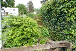 Gartenliebhaber für modernisierte 2-Zimmer-EG-Wohnung mit eigenem Garten gesucht – Wildthagenweg 1, 30453 Ahlem, Hannover – Vorschaubild 15