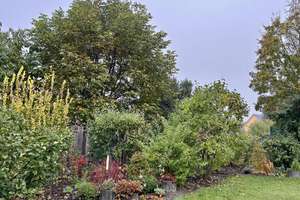 Familienglück mit Gartenidylle – Die vollständige Adresse der Immobilie erhältst du vom Anbieter., 3226 Vetschau/Spreewald – Vorschaubild 11