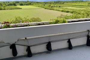 Mainz Finthen mit Ausblick: 2-Zimmer-Wohnung im siebten Stock – Sertoriusring 5, 55126 Finthen, Mainz – Vorschaubild 2