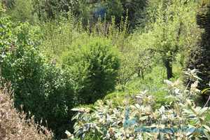 ***Einfamilienhaus mit großem Grundstück Nähe Landau/Isar*** – Dingolfing-Landau (Kreis) – Vorschaubild 7