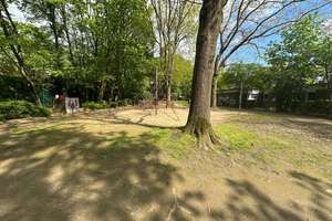 Sie suchen eine ruhige und helle Etagenqohnung mit sehr guter Raumauftteilung?  – Zwickauer Straße 7, 40627 Vennhausen, Düsseldorf – Vorschaubild 36