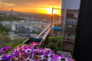 Property thumbnail 21