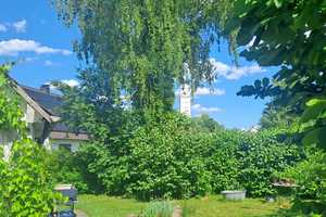 Landhaus klein und fein sucht Gartenliebhaber. – Augsburg – Vorschaubild 6