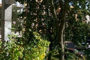 ***EINFACH SCHÖN***GEPFLEGTE WOHNUNG IM STADTZENTRUM MIT BALKON u. STELLPLATZ!!!*** – Die vollständige Adresse der Immobilie erhältst du vom Anbieter., 9113 Schloßchemnitz, Chemnitz – Vorschaubild 12