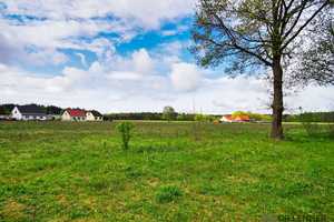 Dr. Lehner Immobilien NB -
Gepflegte Doppelhaushälfte energieeffizient und sehr ruhig gelegen – Uecker-Randow (Kreis) – Vorschaubild 13