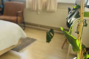 Alltagstaugliche 3-Zimmer-Wohnung in zentraler Lage von Berlin-Mitte – Rochstraße 9, 10178 Mitte (Ortsteil), Berlin – Vorschaubild 8