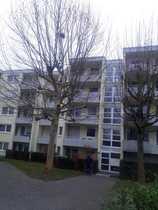 Mainz, 2 Zi., 66,51 ... - Eigentumswohnungen, 2-Zimmer