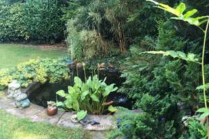 Property thumbnail 29