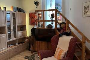 Großzügiges Wohnen auf zwei Ebenen - 3 Schlafzimmer und gepflegtes Ambiente in Hagen-Hohenlimburg – Freiheitstraße 38, 58119 Hohenlimburg (Ortsteil), Hagen – Vorschaubild 4