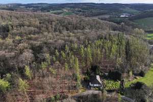 Freistehendes Einfamilienhaus in Alleinlage mit Panoramablick im Wald – Elfringhauser Str. 113, 45527 Hattingen – Vorschaubild 3