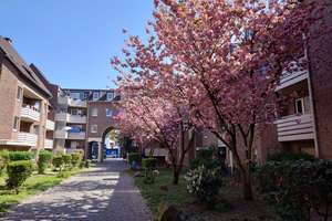 Grüne Oase im Herzen Bonns – sanierte Wohnungen zum Wohlfühlen – Blumenhof 27, 53119 Nordstadt, Bonn – Vorschaubild 1
