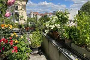 3 ZIMMERWOHNUNG MIT BALKON UND FAHRSTUHL IN GEHOBENER LAGE NAHE VIKTORIA-LUISE-PLATZ - VERMIETET – Berlin – Vorschaubild 1