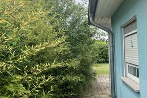 Freundliches Einfamilienhaus in Mörse-Kerksiek – Die vollständige Adresse der Immobilie erhältst du vom Anbieter., 38442 Mörse, Wolfsburg – Vorschaubild 17
