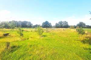 NEUER PREIS |PROVISIONSFREI | Großzügiger Vierseitenhof auf 15 000m² Grundstück mit viel Potential – Oberhavel (Kreis) – Vorschaubild 14