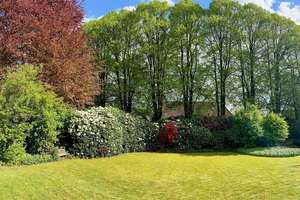 Bezugsfreies Einfamilienhaus mit Carport und 2.112 m² Grundstück // Wacken, Lindenallee – Lindenallee 4, 25596 Wacken – Vorschaubild 4