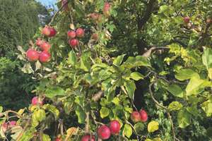 Property thumbnail 39