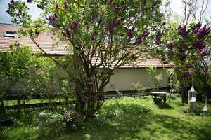 Großzügiges Wohlfühl-Haus mit wunderschönem Gartenidyll in Probstried – Oberallgäu (Kreis) – Vorschaubild 46