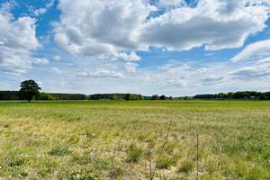 Property thumbnail 40