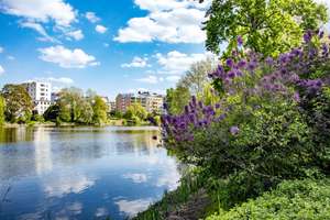 Property thumbnail 15