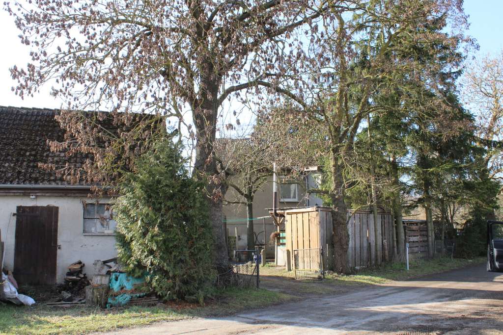 Immobilie in Spantekow - EFH in Dorfrandlage – vielseitige Nutzungsmöglichkeiten - Bild 3