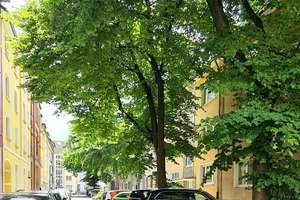 „Willkommen in Rüttenscheid“ Charmante Altbauwohnung mit urbanem Flair und modernem Komfort – Adolfstr. 2, 45130 Rüttenscheid, Essen – Vorschaubild 44