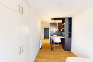 Helle 1-Zimmer-Wohnung mit geschmackvoller Möblierung – 60528 Niederrad, Frankfurt am Main – Vorschaubild 5