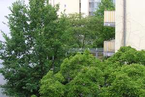 Sonnige Singlewohnung direkt an der Hardt – Gartenstraße 50, 42107 Elberfeld, Wuppertal – Vorschaubild 10