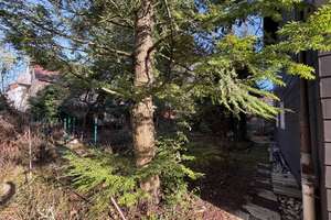 Property thumbnail 29