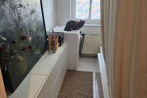 2-Zimmer Altbauwohnung mit Balkon - St. Johannis – Die vollständige Adresse der Immobilie erhältst du vom Anbieter., 90419 Sandberg, Nürnberg – Vorschaubild 6