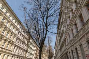 Altbauperle! 3 Zimmer Hochparterre-Wohnung im Wrangel Kiez zu verkaufen! – Berlin – Vorschaubild 16