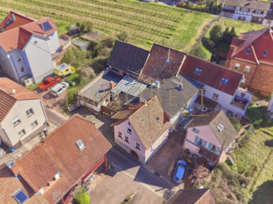 Vogelperspektive