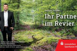 Reserviert! Großzügiges 2-Familienhaus in gefragter Lage von Neulußheim – Rhein-Neckar-Kreis – Vorschaubild 9