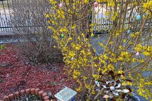 +++ Klein aber FEIN - Altbaucharme mit moderner Ausstattung in Alt-Rüdersdorf +++