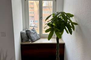 Property thumbnail 37